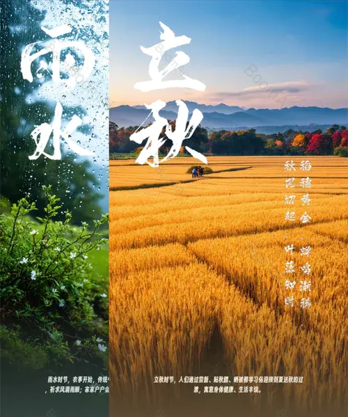 节日节气海报生成7.0